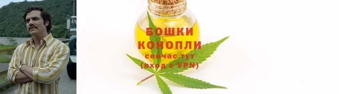 ECSTASY Навашино