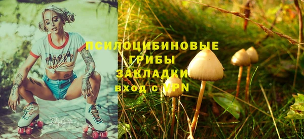ешки Нефтегорск