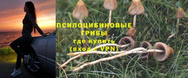 ECSTASY Навашино