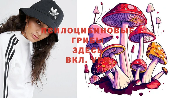 ECSTASY Навашино
