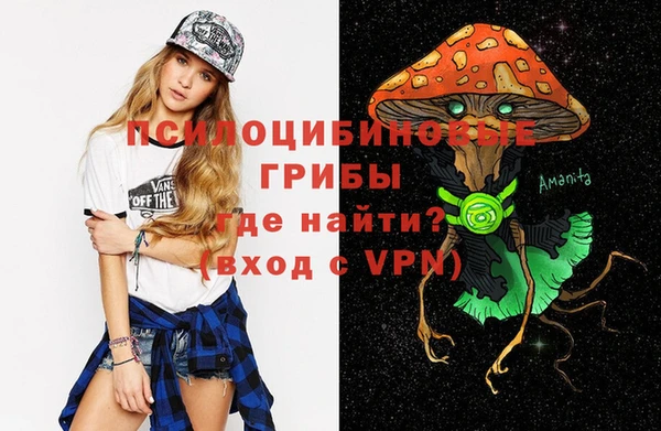 ECSTASY Навашино
