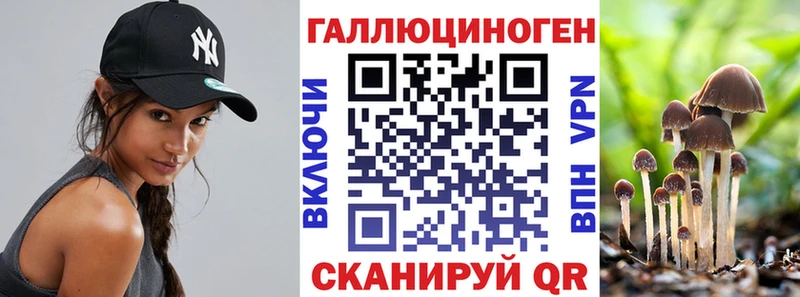 закладки  Кропоткин  Псилоцибиновые грибы Cubensis 