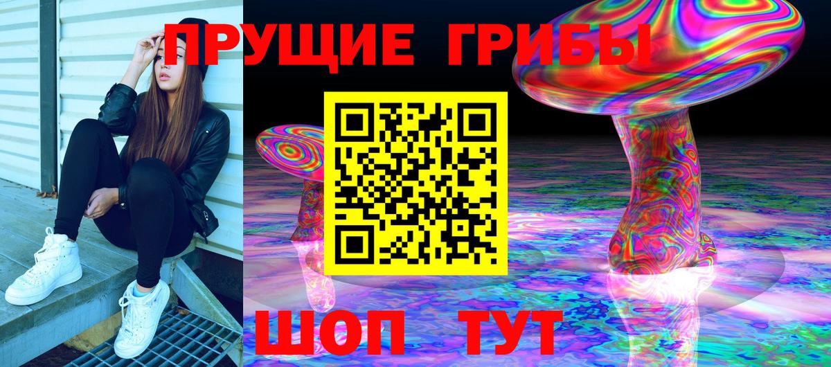 Галлюциногенные грибы Psilocybine cubensis  закладка  Кропоткин 